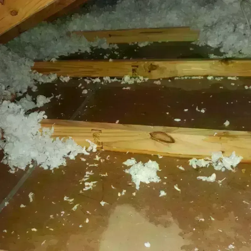 Attic Water Damage in Arthur, IL