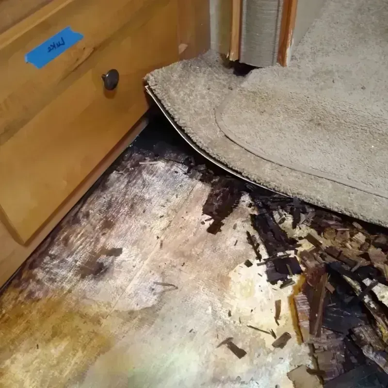 Best Wood Floor Water Damage Service in Arthur, IL